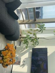 -JNK皮肤管理中心