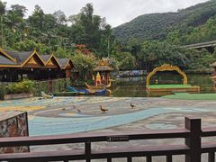 -西双版纳原始森林公园