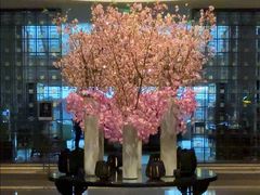 -上海波特曼丽思卡尔顿酒店