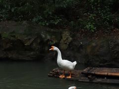 -兰亭风景区