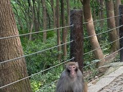 -苏州上方山国家森林公园