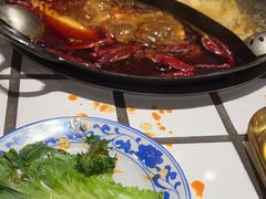 -朱光玉火锅馆(正弘城店)