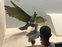 -辽宁古生物博物馆