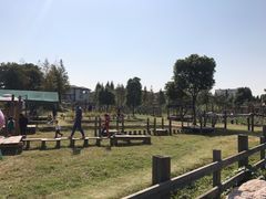 -田园东方蜜桃村的田野营地