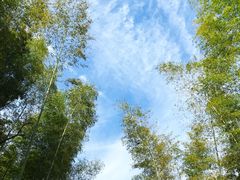 -黄公望隐居地