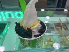 -Salud撒露欧洲冻酸奶(五道口购物中心店)