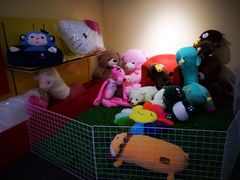 -PAWTOY爪e玩偶店(天兴罗斯福店)