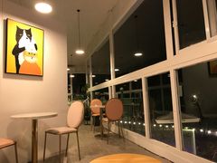 -有猫主题·治愈系猫咖(曾厝垵店)