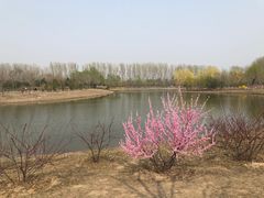 -东郊湿地公园