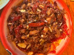 -柴窝堡22号辣子鸡·传承新疆菜