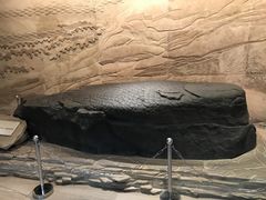 -白鹤梁水下博物馆