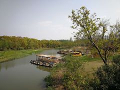 -上海长兴岛郊野公园