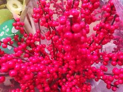 -花鸟鱼虫鲜花绿植市场(玉泉路店)