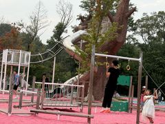 -沈阳植物园
