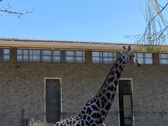 -石家庄市动物园