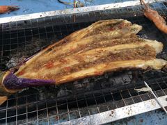 -南宁良凤江国家森林公园