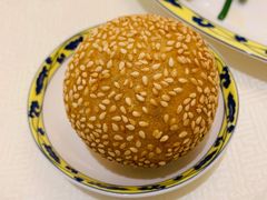 麻团-钓鱼台国宾馆
