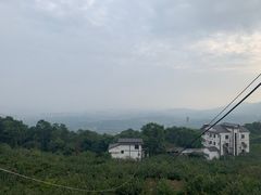 -南山植物园