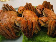 -丰收日·小海鲜·沪上家宴(顾村正大店)