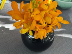 -止观小馆·辽河口渔家菜(王府井店)