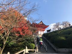 -有栖山 清光院 清水寺