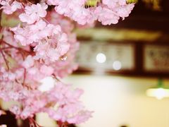 -金龙咖喱
