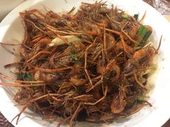 -老头儿油爆虾(星光一期店)