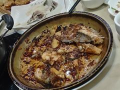 -源港渔村-中山脆肉鲩(博罗店)