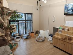 -唐小姐の私宠·宠物洗护美容·撸猫馆·购宠(周浦万达旗舰店)