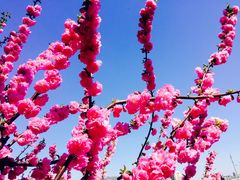 -郭守敬纪念馆
