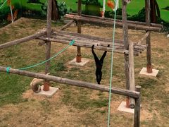 -西霞口神雕山野生动物世界