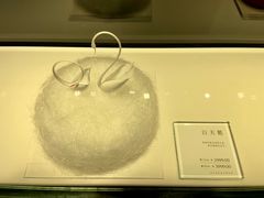 白天鹅-BLACKSWAN黑天鹅(环球店)