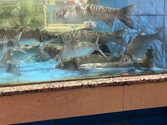 -八景休閒山莊  廣東十大名山莊