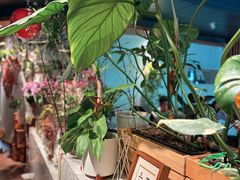 -懒人盐府人家(航天桥店)