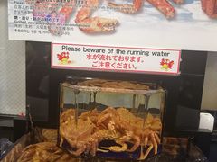 -蟹道乐(道顿堀本店)