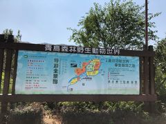 -青岛森林野生动物世界