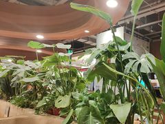 -云海肴·汽锅鸡·云南菜(曲江大悦城店)