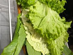 -同来顺涮肉馆(六顺街店)