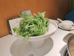 -烹然四季椰子鸡火锅(姚家园万象汇店)