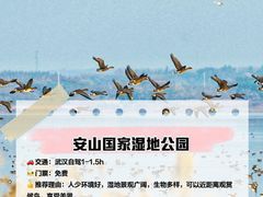 -青龙山国家森林公园