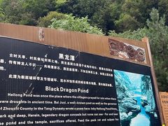 -黑河国家森林公园