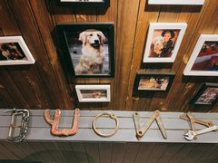 -百好乐宠物友好餐厅(朝外大街店)