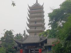 -生宇山珍野生菌汤锅•始于1999(双流古塔店)