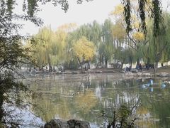 -紫竹院公园冰场