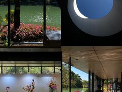 -云溪植物园