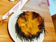 -海胆小馆(东北水饺·春柳店)