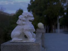 -华东政法大学(松江校区)