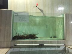 -海盗餐厅