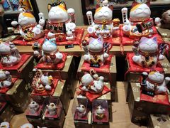 -猫咪博物馆(顶澳仔猫街店)