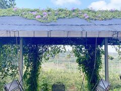 -侯臣咖啡文化村